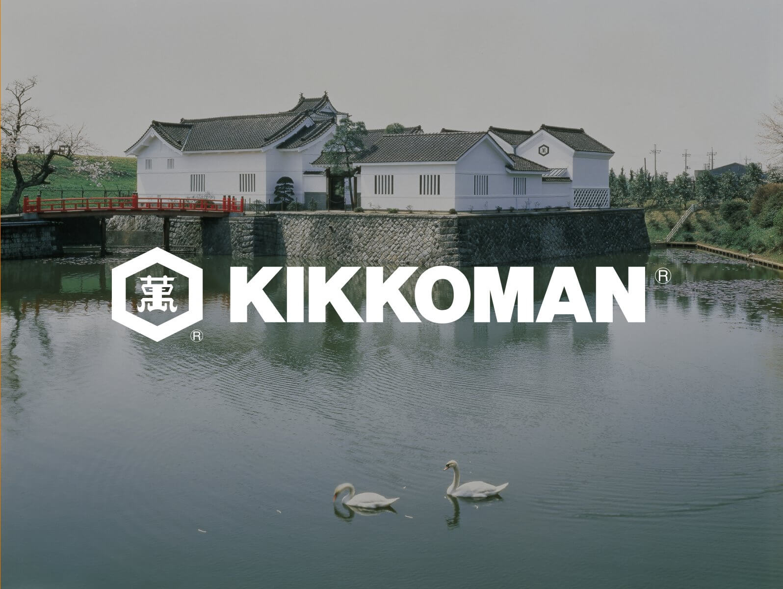 La marca icónica Kikkoman